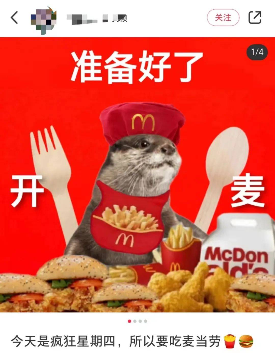 “麦门文学”火了，越看越上头