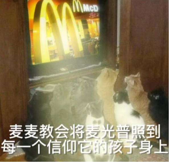 “麦门文学”火了，越看越上头