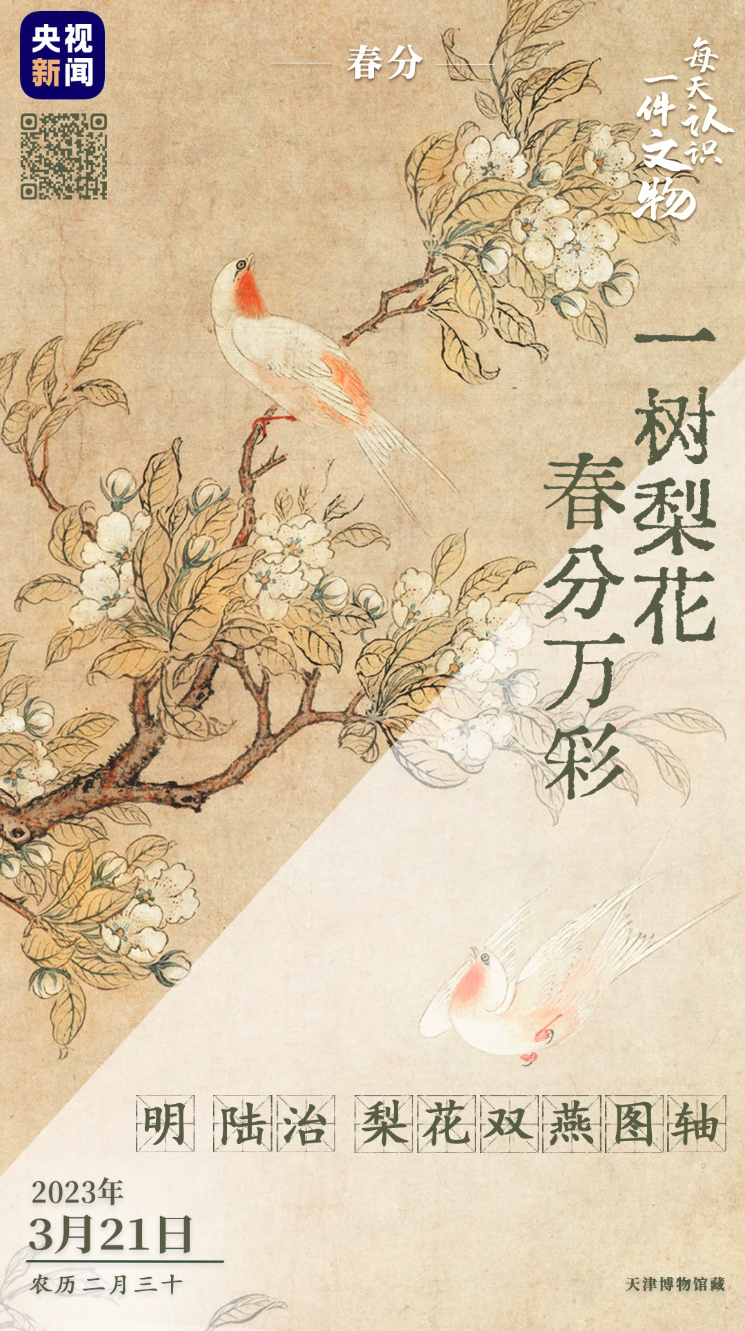 央视的神仙文案，上新了！