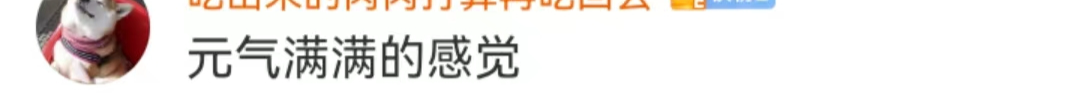 找他拍广告，元气森林“疯”了？